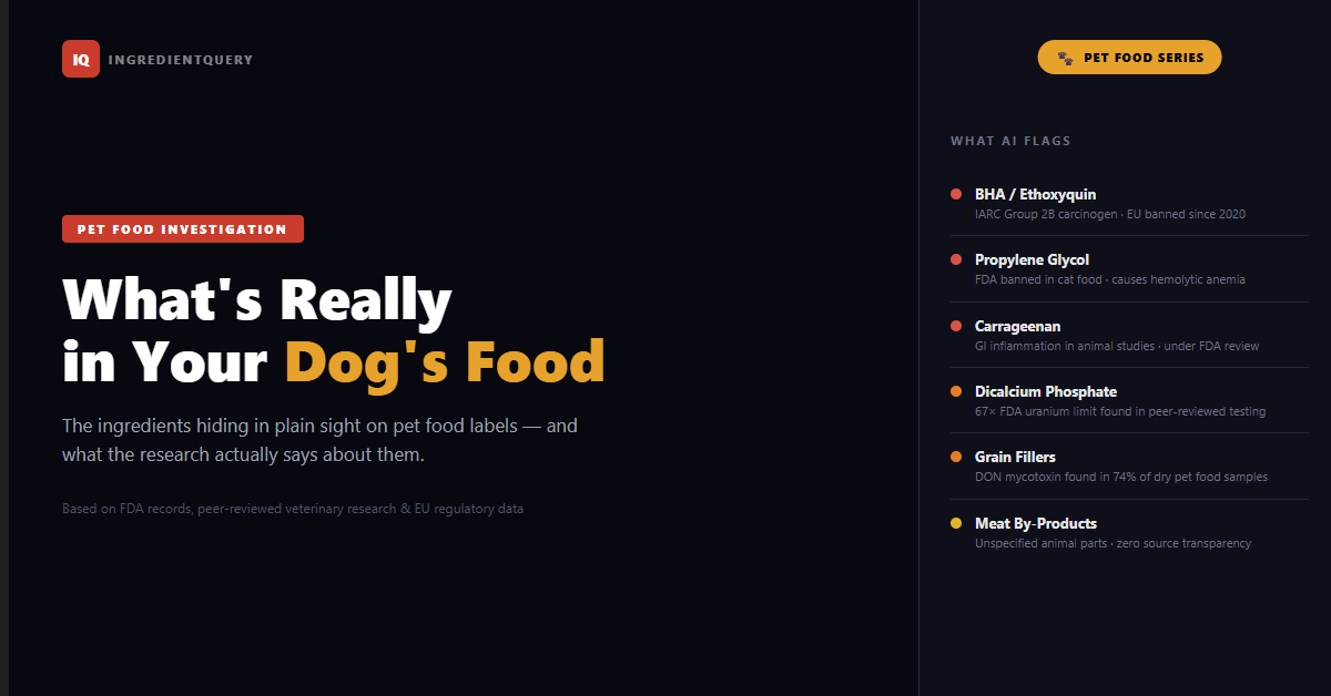 What's Really in Your Dog's Food